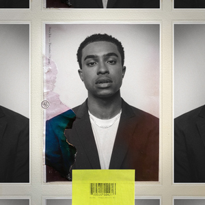 三三区一区二区aa
